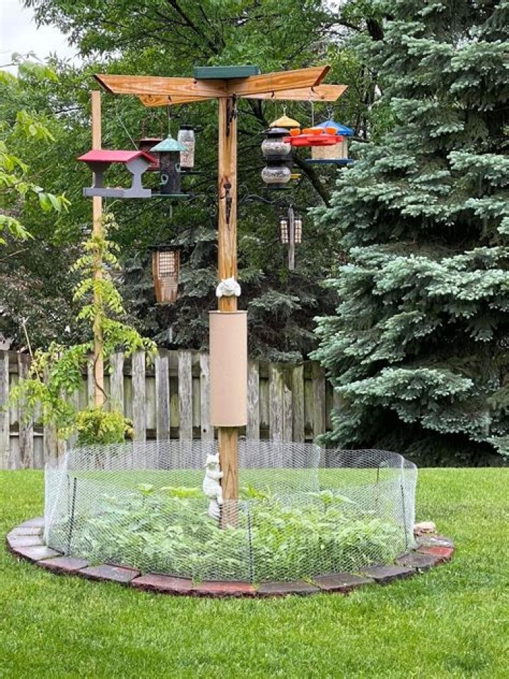 Are bird feeders good for gardens?