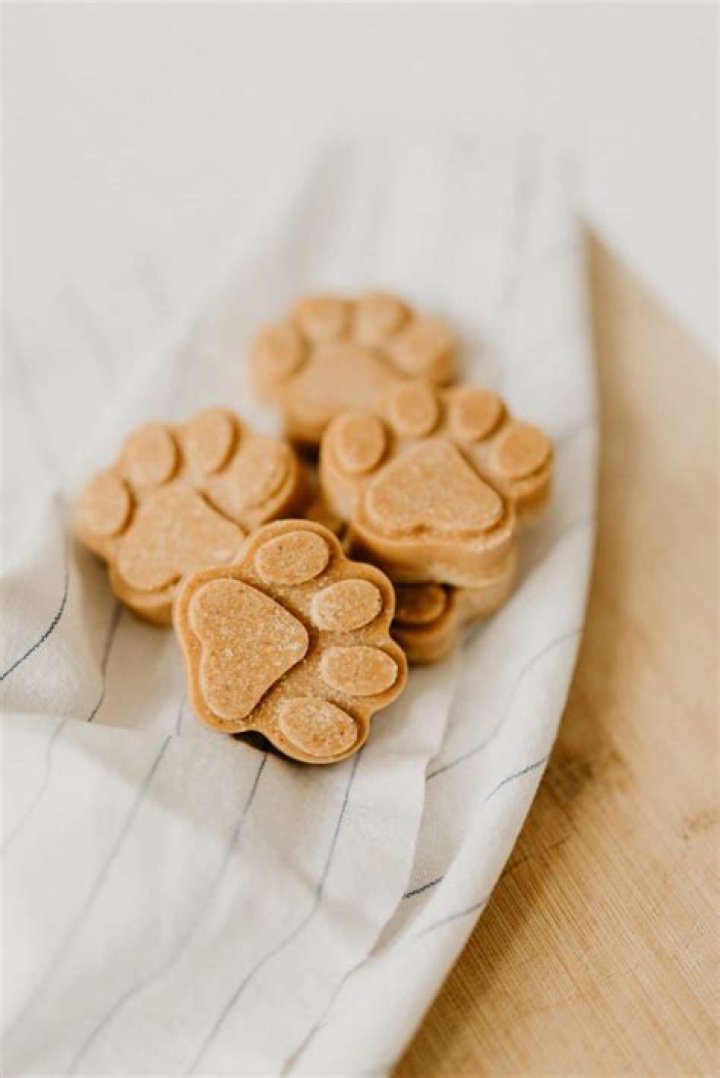 Are homemade dog treats healthy?
