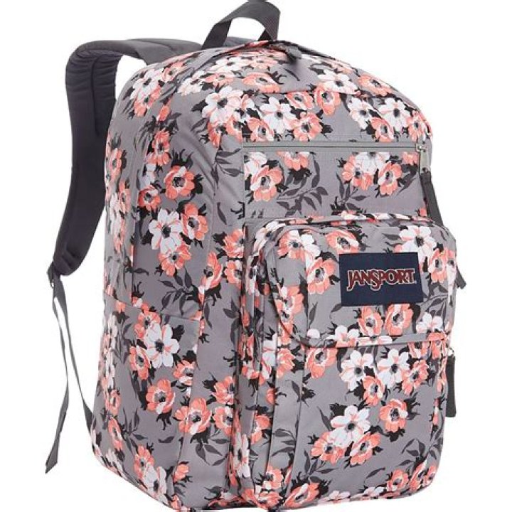 Are JanSport backpacks big enough for high school?