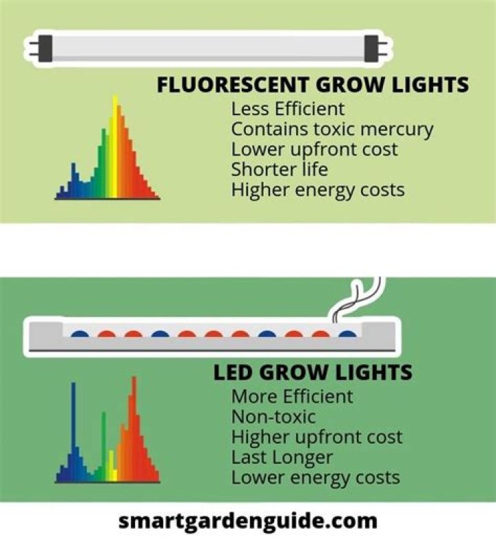 Are LED grow lights better than fluorescent?