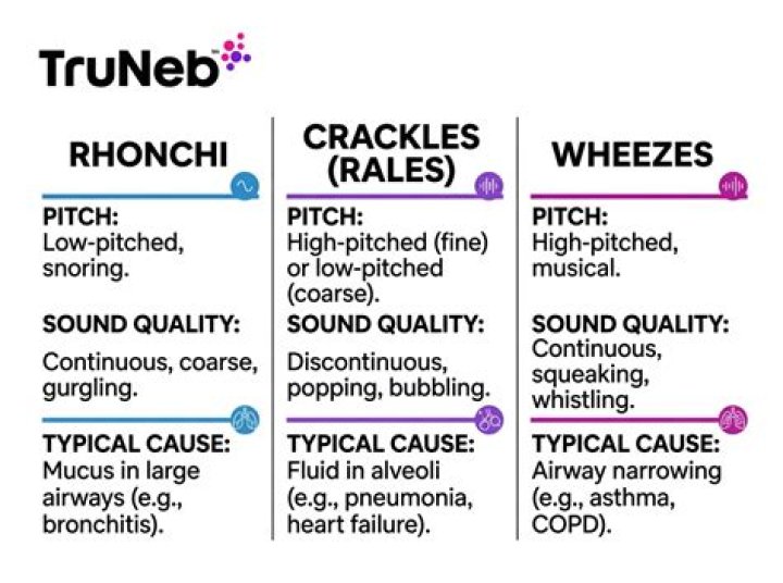 Are Rhonchi and Rales the same thing?