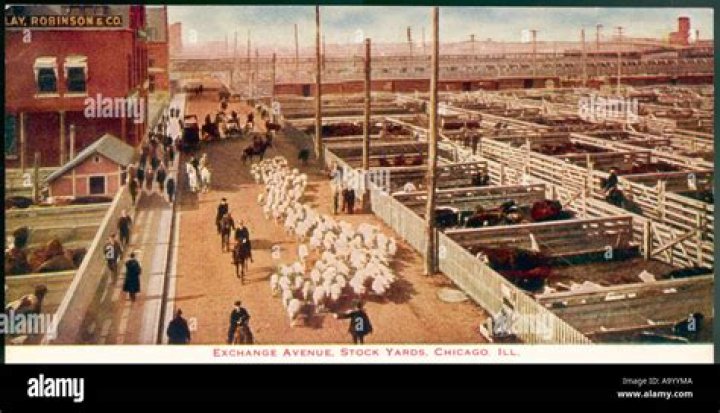 Are there still stockyards in Chicago?