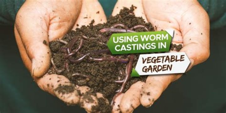 Are worm castings good for gardens?