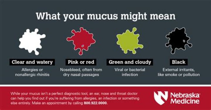 Can allergies cause mucus in lungs?