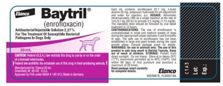 Can Baytril be given IV?