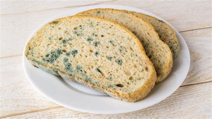 Can eating moldy bread hurt you?