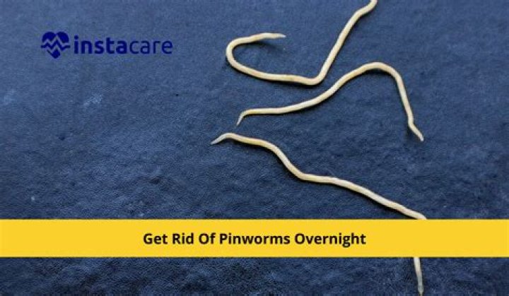 Can worms die from heat?