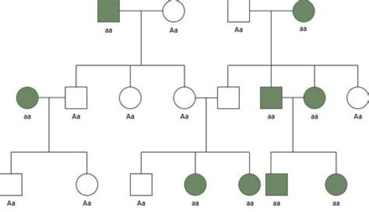 Can you assign an inheritance?