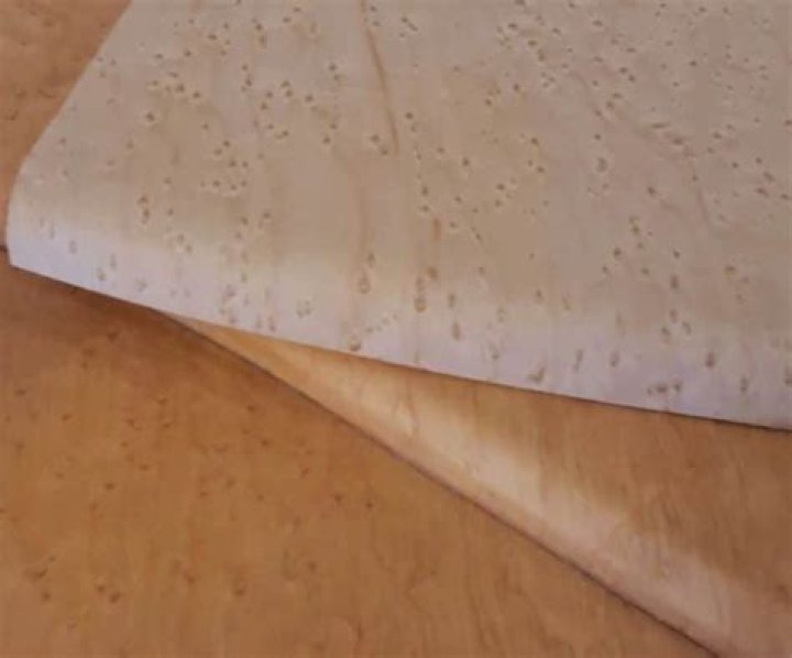Can you bend veneer?
