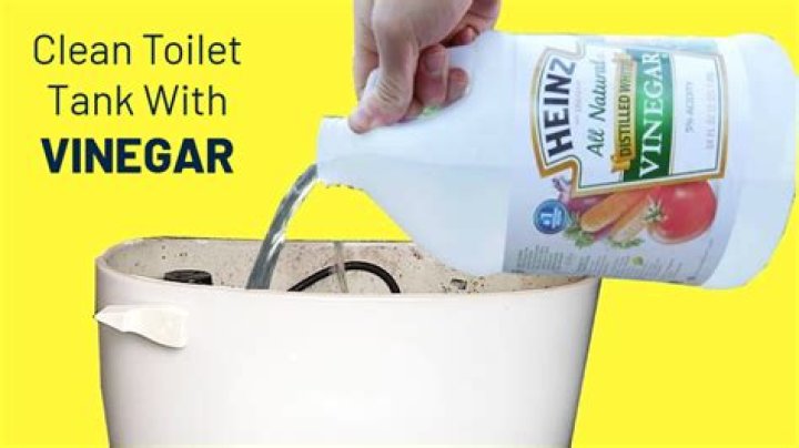 Can you clean toilet bowl with vinegar?