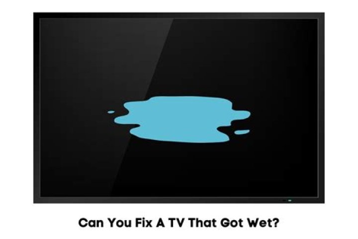 Can you fix a TV that got wet?