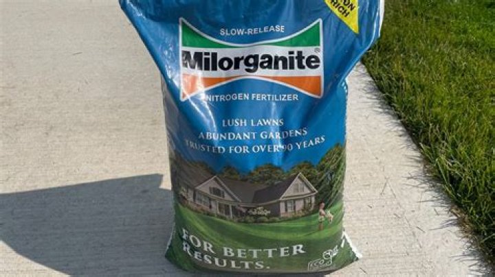 Can you mow after milorganite?