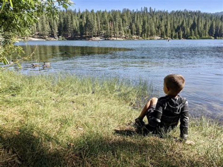 Can you swim in Hume Lake?