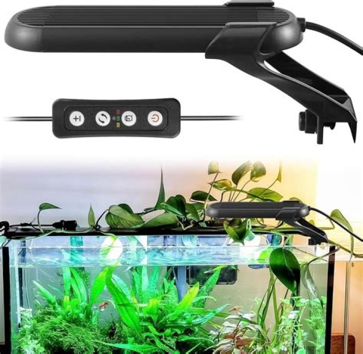 Can you use an aquarium light for reptiles?