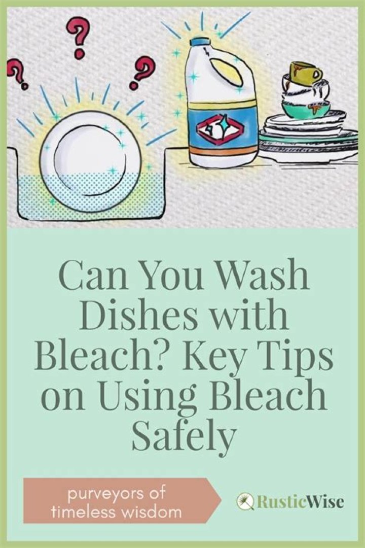 Can you wash plastic dishes with bleach?