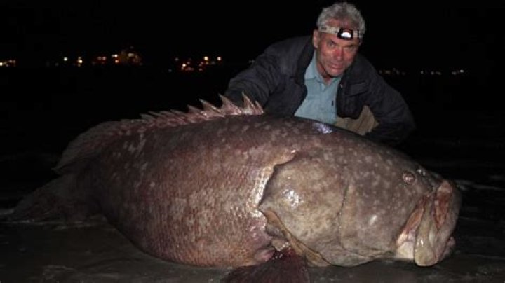 Did river monsters get Cancelled?