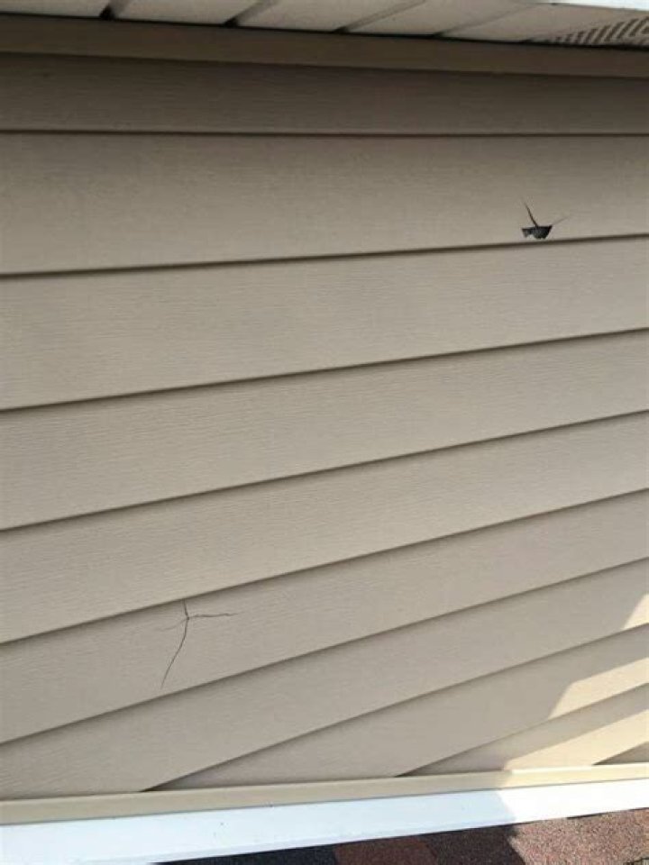 Do woodpeckers damage vinyl siding?