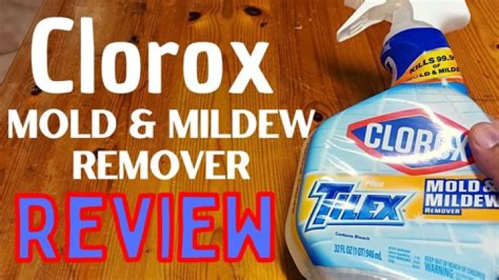 Does Clorox remove mold?