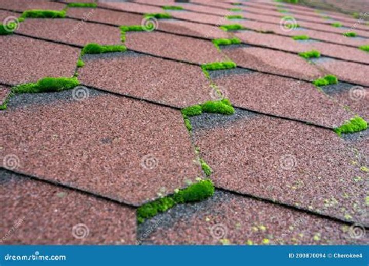 Does Moss damage asphalt shingles?