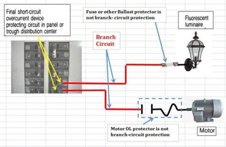 How are branch circuits rated?