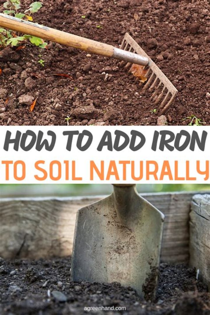 How can I add iron to my soil naturally?