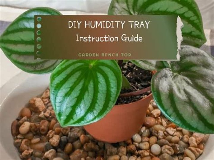 How do humidity trays work?