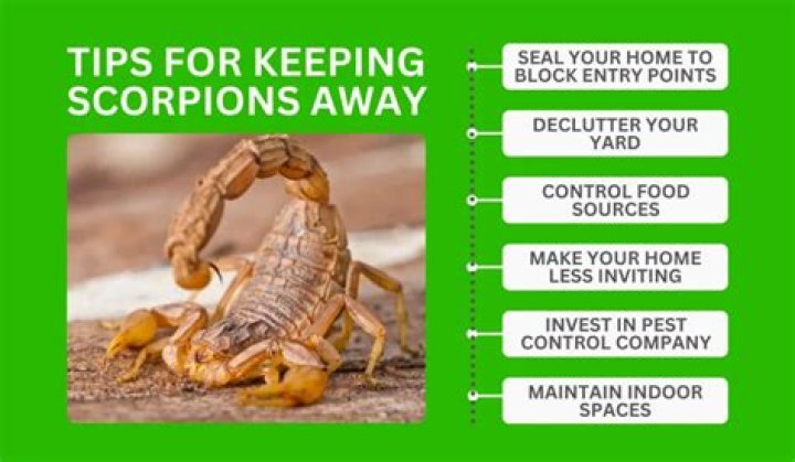 How do I keep scorpions out of my house in Arizona?