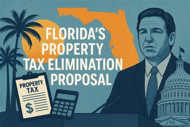 How do I pay my property taxes in Florida?