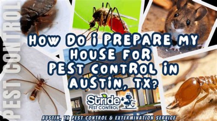 How do I prepare my home for pest control?