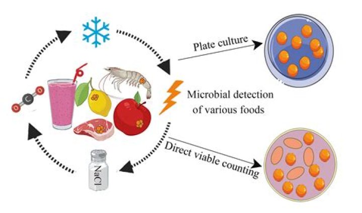How do microbes contaminate food?