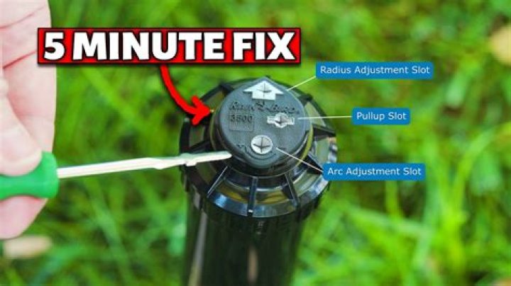 How do you adjust Rainbird mini rotor sprinkler heads?