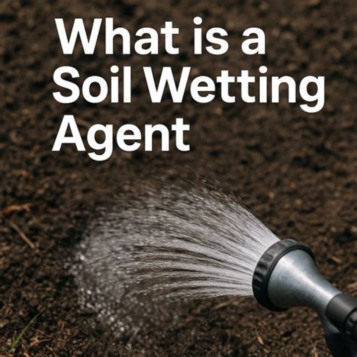 How do you apply a wetting agent to your lawn?