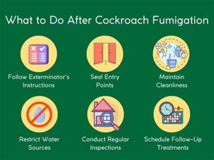 How do you clean after Roach fumigation?