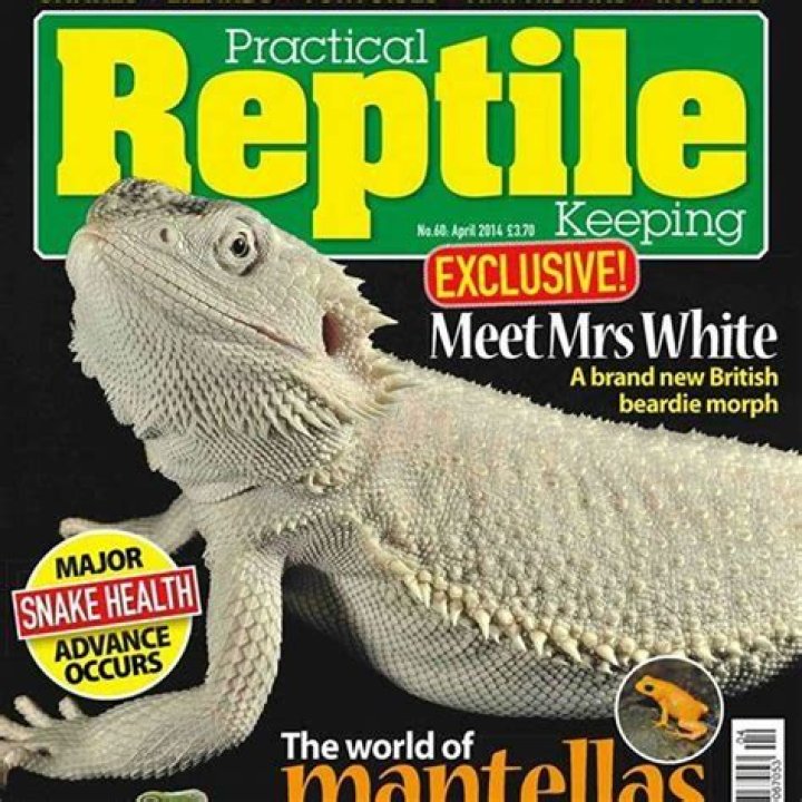 How do you clean reptile bark?