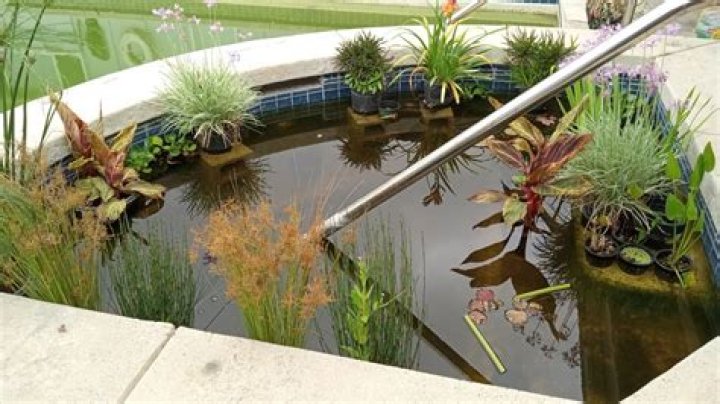 How do you convert a pond to natural pool?