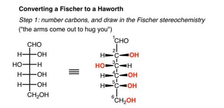 How do you convert Haworth to Fischer?