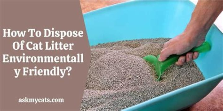 How do you dispose of the Green cat litter?