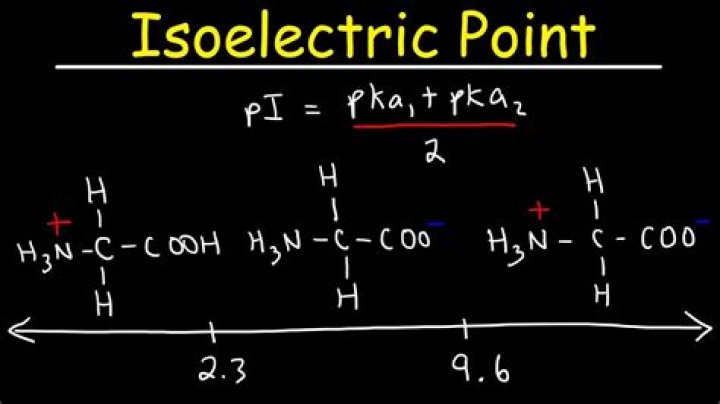 How do you find isoelectric line?