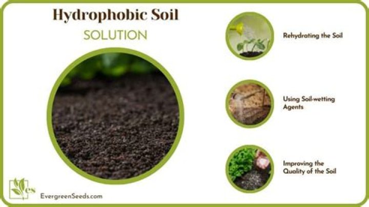 How do you fix hydrophobic grass?