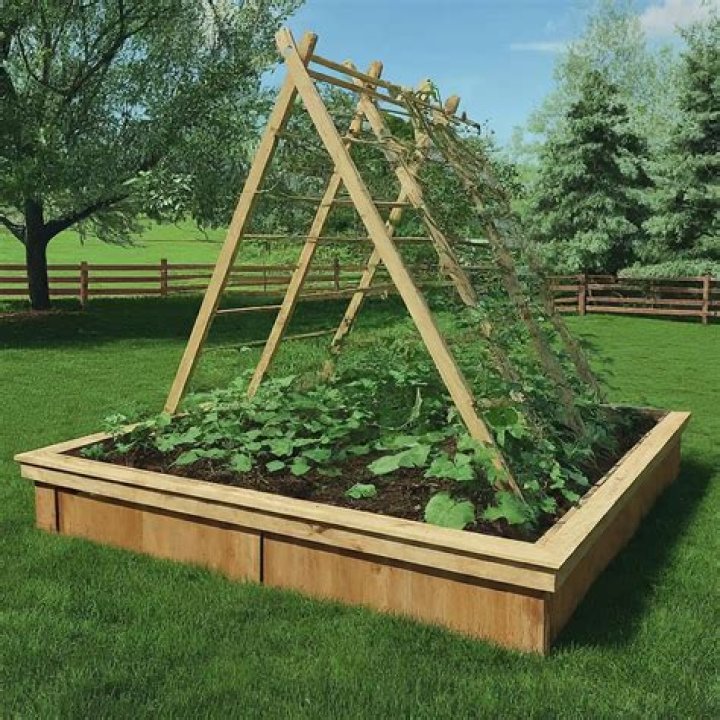 How do you install a trellis in the ground?