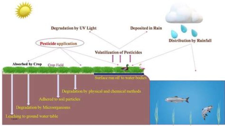 How do you keep pesticides out of water?