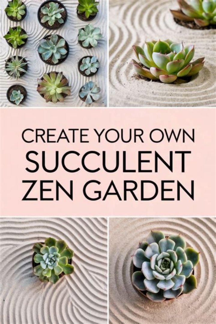 How do you make a succulent Zen garden?