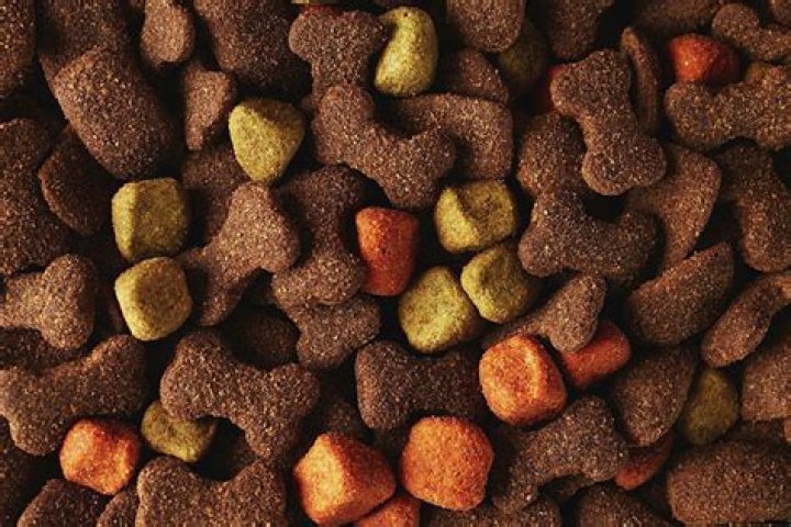 How do you make dog treats out of dry dog food?