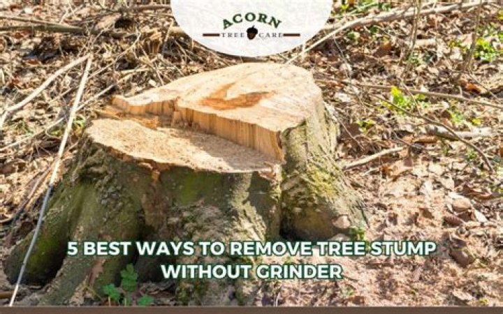 How do you remove a stump without a stump grinder?