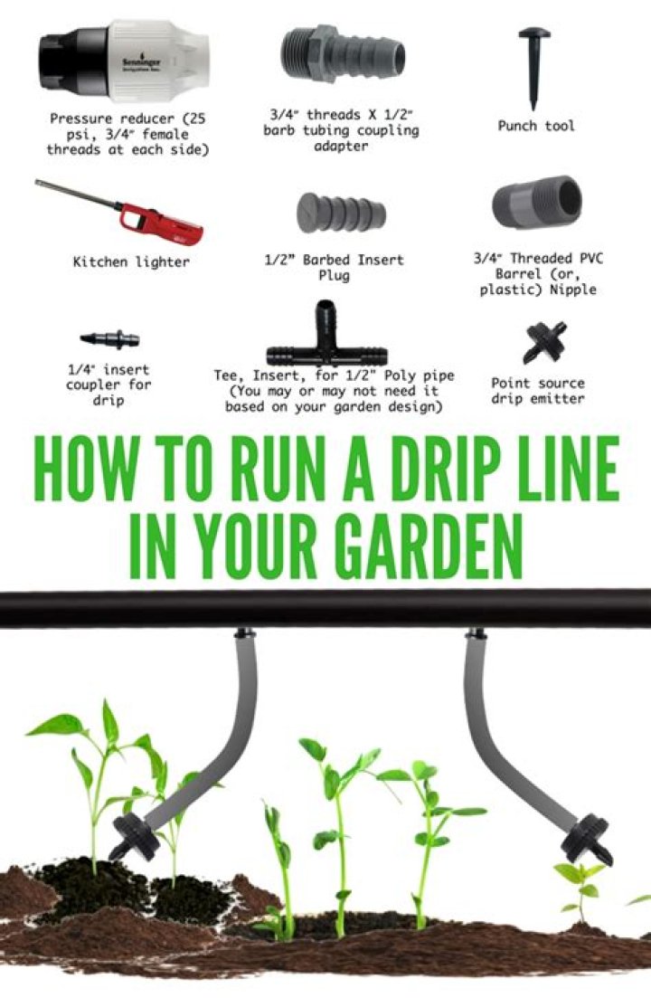 How do you run a drip line?