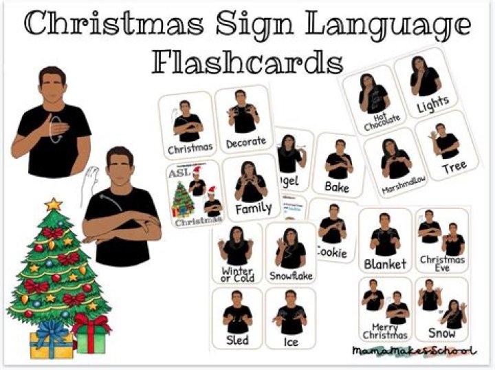 How do you say holiday in sign language?