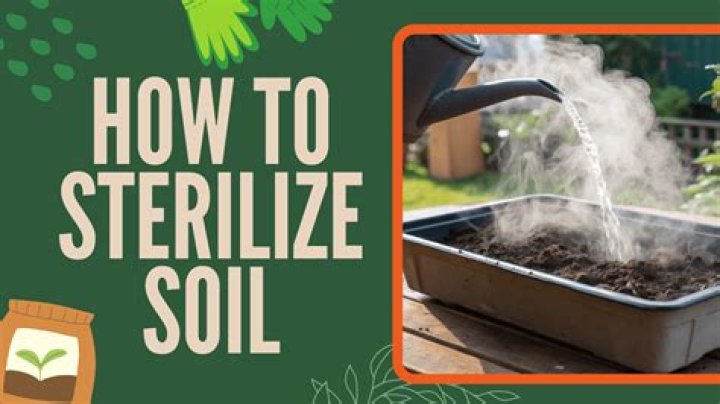 How do you sterilize seeds?