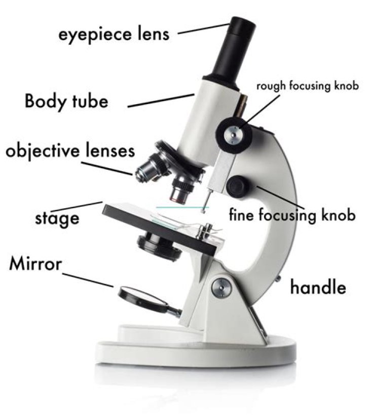 How do you use a microscope mirror?