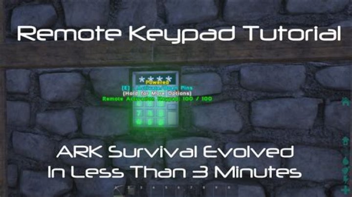 How do you use the remote keypad in Ark?