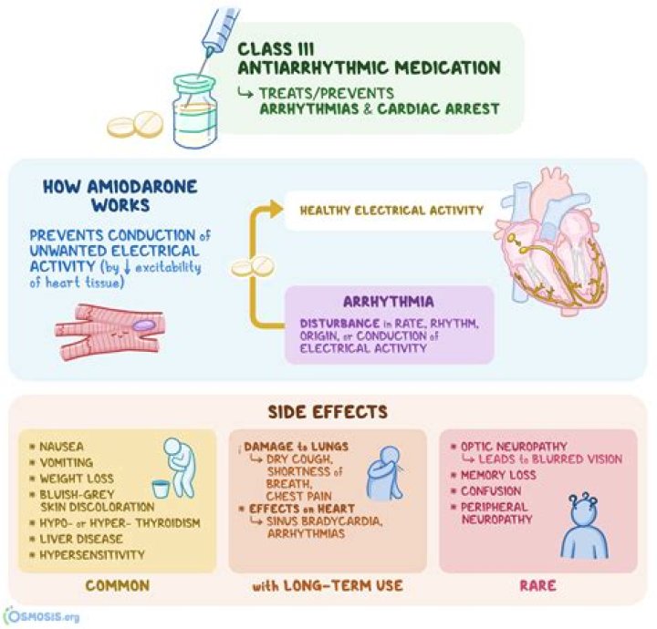 How does amiodarone work on the heart?